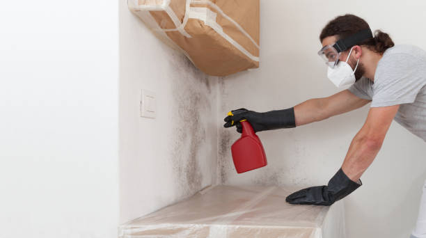 Professional Bathroom Mold Removal technician working in Elgin, TX